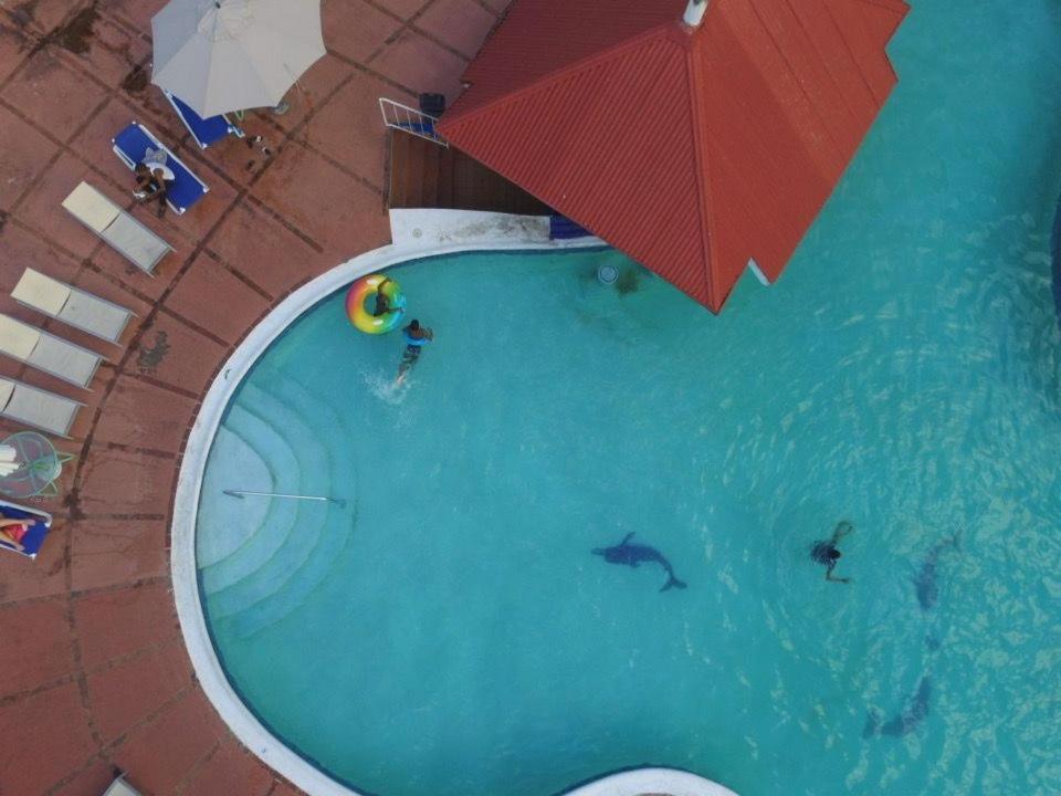 Ferienwohnung The View At Mystic Ridge Penthouse 78A Ocho Rios Exterior foto